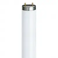 TLD-36 W / S.Whıte Florasan Ampul