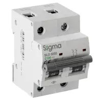 SLD6000 6KA 2P C100 Otomatik Sigorta