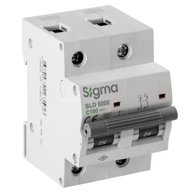 SLD6000 6KA 2P C100 Otomatik Sigorta