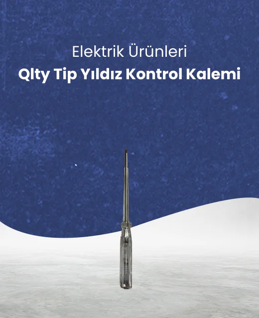 Priz Çeşitleri