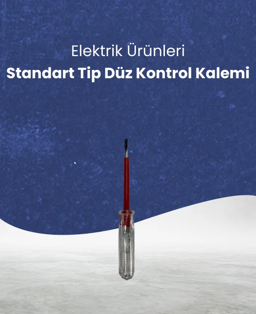 Priz Çeşitleri