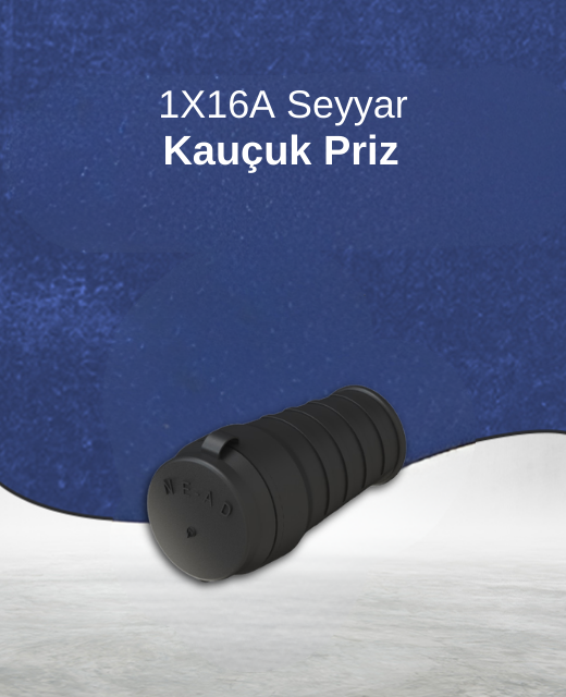 Priz Çeşitleri