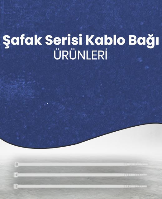 Priz Çeşitleri